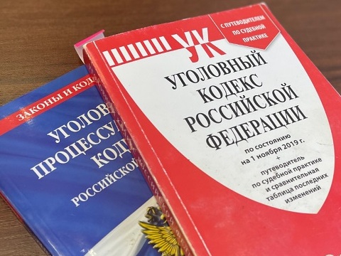 В Мордовии расследовано дело жительниц Самары о хищении из бюджета в крупном размере