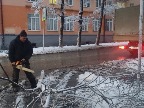 В Саранске деревья падают под тяжестью мокрого снега