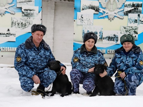 В исправительные учреждения Мордовии передали щенков из племенного питомника служебного собаководства 