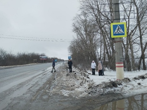 В пригороде Саранска Народный фронт просит обезопасить пешеходный переход