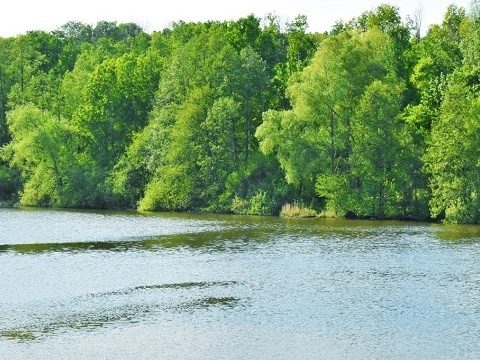 Вода на мордовском. Зелёная роща озеро. Зелёная роща Саранск. Пруд зеленая роща Саранск. Лесное озеро Саранск.