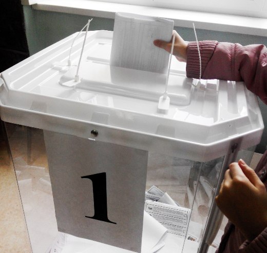 В Мордовии проголосовало около 270 тыс. избирателей 