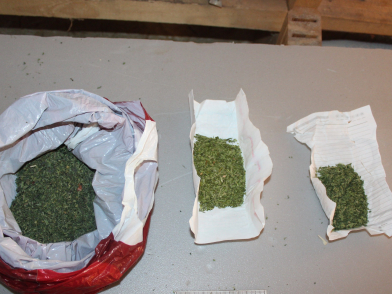 У жителя Мордовии изъяли около 50 гр. марихуаны