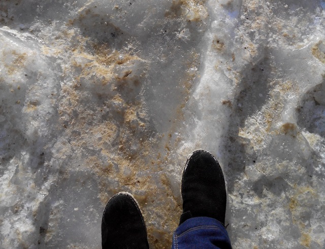 На водоемах Мордовии начал устанавливаться лед