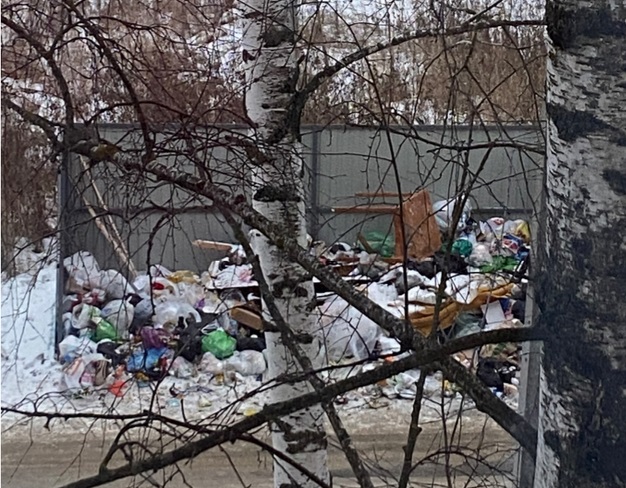 Жители Лямбиря добились установки мусорных контейнеров с помощью портала «Госуслуги»