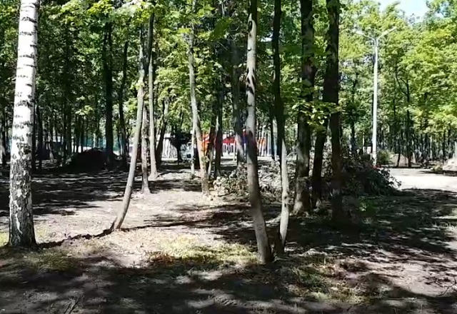 В парке Ленинского района Саранска благоустроят 25 гектаров территории