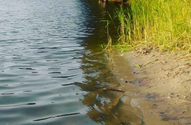 В Атюрьево женщина утонула в пруду
