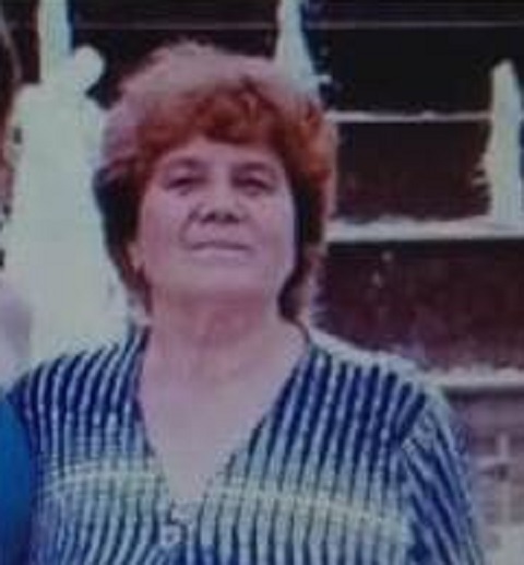 Пропавшая в Мордовии пенсионерка нашлась у родственников