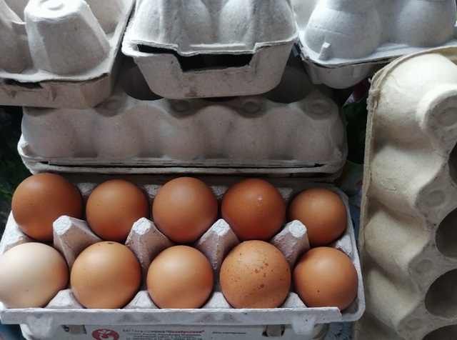 Техническая утилизация яиц. Фото утилизации яиц. Продажа яиц на улице. Какие есть фирмы продажи яиц. Купить яйцо в мордовии
