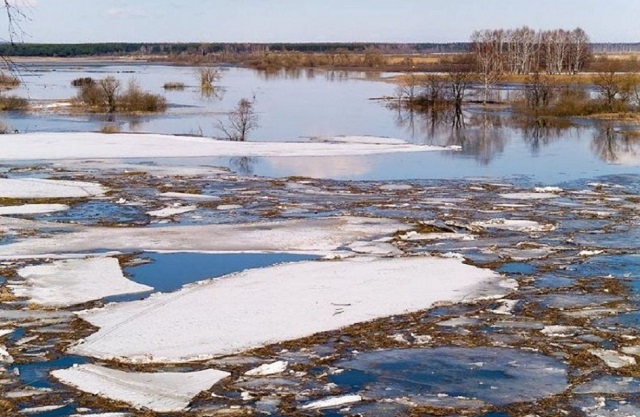 На всех реках Мордовии наблюдается спад уровня воды