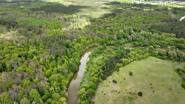 Жара в Мордовии: введен запрет на посещение лесов с 1 по 8 июля