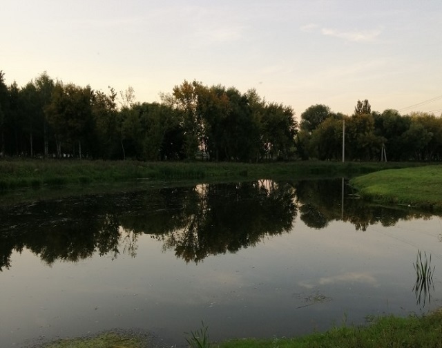 В Краснослободском районе расчистят русла рек Мокша и Шапа 