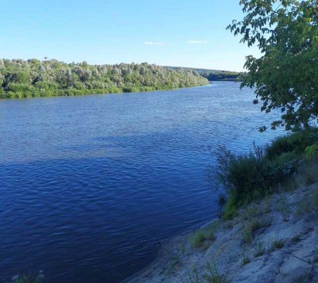 В Мордовии рыбак утонул при попытке вброд переправиться через реку Суру 