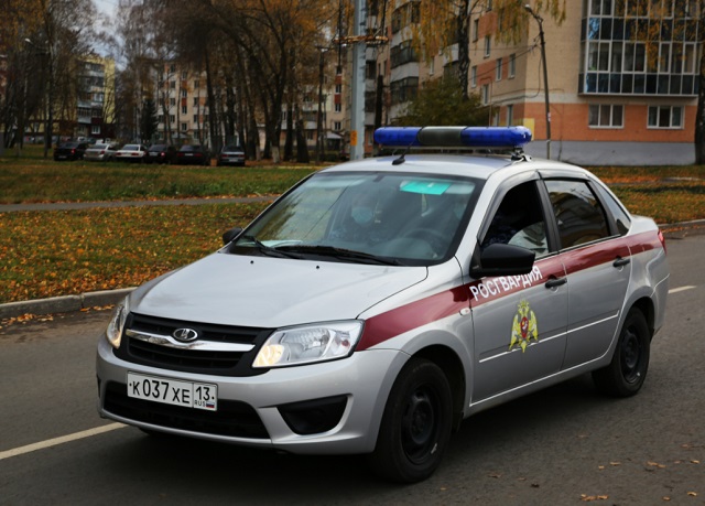 В Ардатовском районе Мордовии задержали водителя, устроившего хаос на дороге