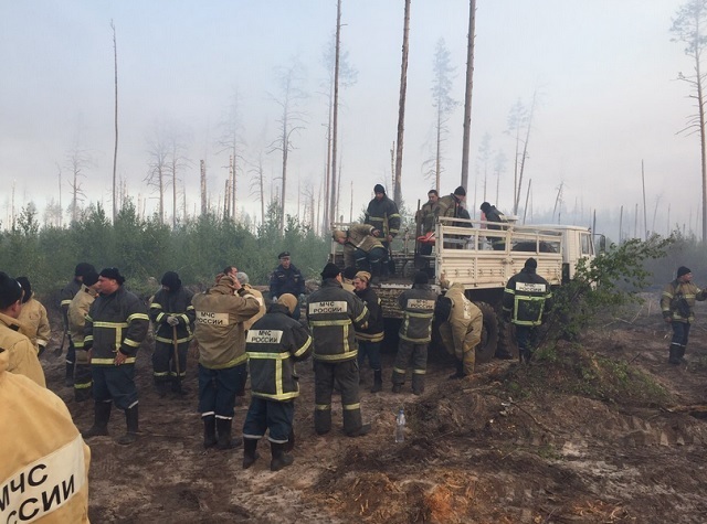 91 человек и 20 единиц техники ведут борьбу с лесным пожаром в Мордовском заповеднике