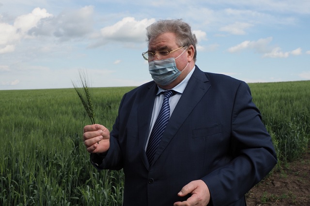 Глава Мордовии Владимир Волков: «Работа растениеводов республики - это мощь, мировой уровень!»