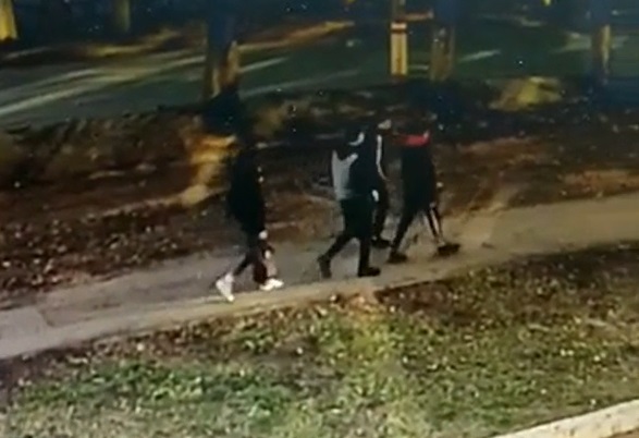 Полиция Мордовии разыскивает группу молодых людей, избивших мужчину на улице 