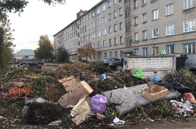 В Ковылкино мусор с контейнерной площадки исчез после обращения в ЦУР