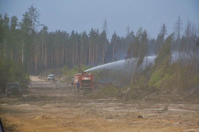 Более 460 вылетов совершила авиация для тушения пожара в Мордовском заповеднике