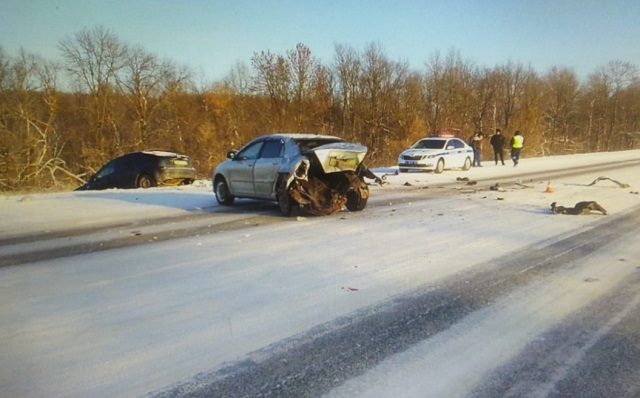 7 января в ДТП на территории Мордовии 1 человек погиб и 5, в том числе ребенок, получили травмы