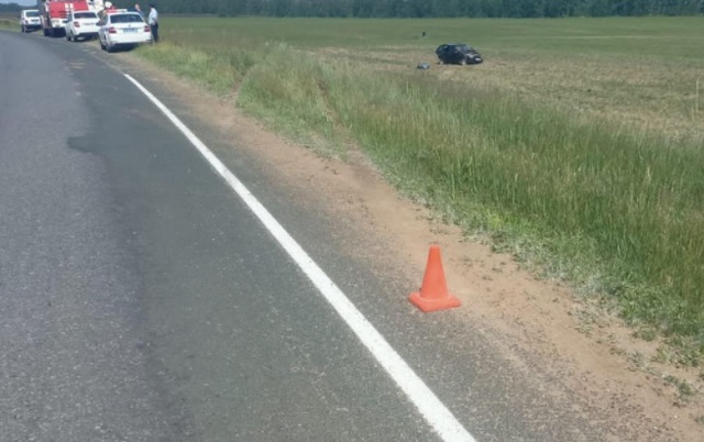 В Мордовии «Лада Калина» опрокинулась в кювет, водитель погиб