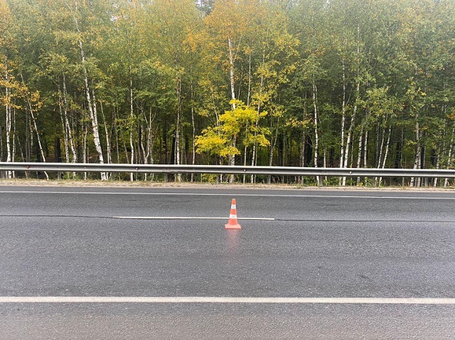 В Мордовии за сутки 2 пешехода пострадали от наездов автомобилей, водитель одного скрылся