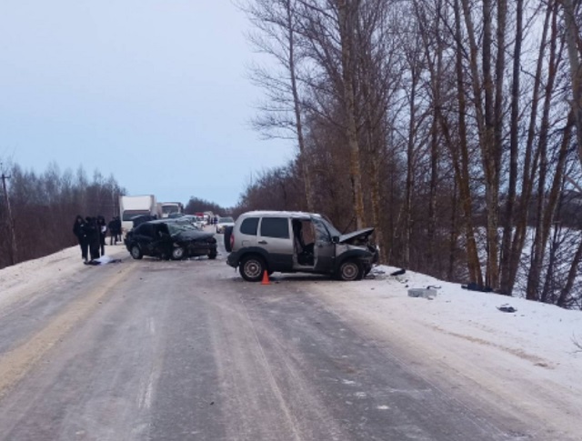 Renault SR и Chevrolet Niva столкнулись в Мордовии, погибла женщина