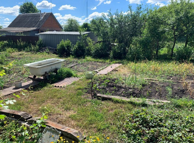 В огороде жителя Мордовии обнаружили 55 кустов конопли