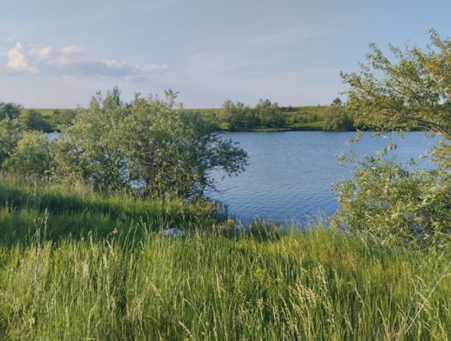 На реке Пикша в Мордовии задержали двух браконьеров, ловивших рыбу бреднем