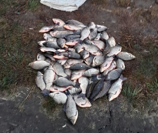 За ловлю рыбы сетями жителя Мордовии наказали 300 часами обязательных работ 