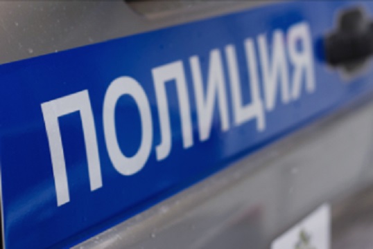 Полиция в Рузаевке проводит проверку по факту инцидента с малолетним 