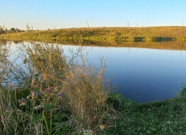 39-летний житель Мордовии утонул в пруду у села Тетюши