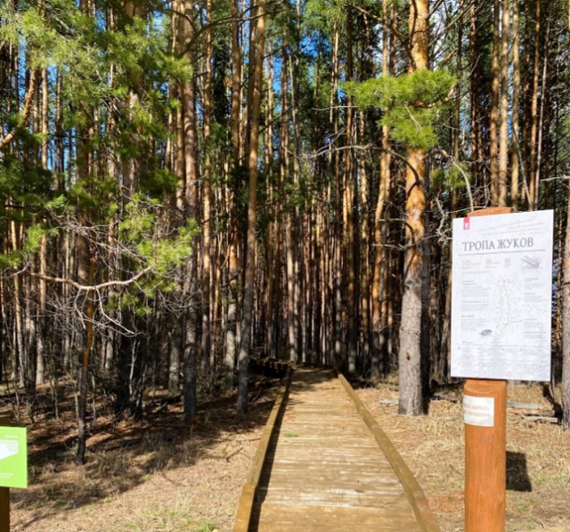 В национальном парке «Смольный» в Мордовии откроется Тропа Жуков